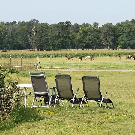 Haus Koppelblick 아파트