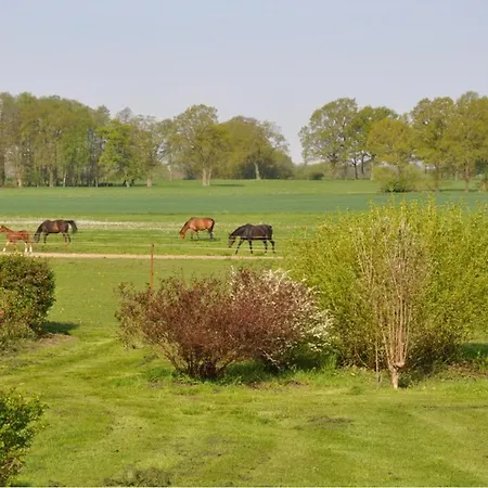 아파트 Haus Koppelblick *