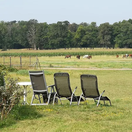 Koppelblick